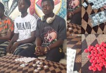 Central Youth Organisation Fights Drug Abuse Destroys Tramadol Central Youth Organisation Fights Drug Abuse Destroys Tramadol