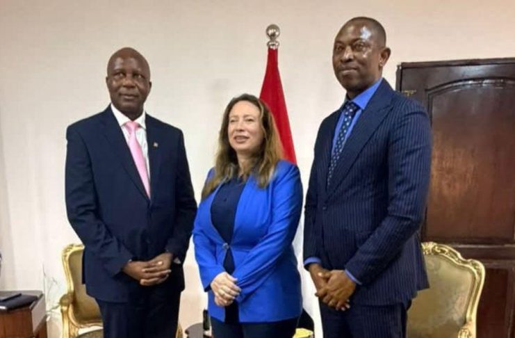 NASSIT Partners with Egypt to Expand Social Security Access NASSIT Partners with Egypt to Expand Social Security Access