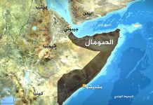 الصومال وجيبوتي.. علاقة تجمع مابين مصالح الأمن والاقتصاد. الصومال وجيبوتي.. علاقة تجمع مابين مصالح الأمن والاقتصاد.