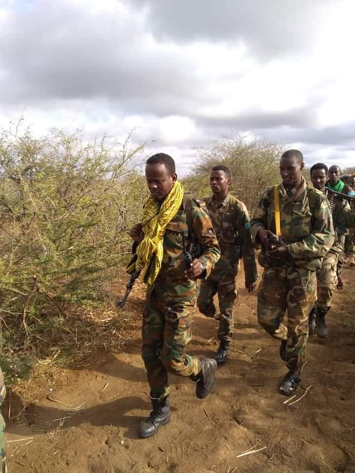 مصرع قيادي إرهابي بارز على أيدي القوات المسلحة الوطنية مصرع قيادي إرهابي بارز على أيدي القوات المسلحة الوطنية