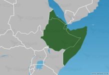 عام التحوّلات في القرن الأفريقي عام التحوّلات في القرن الأفريقي