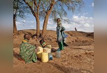 خبيرة في الشؤون الأفريقية: الصومال تم تجاهله كثيرا من المجتمع الدولي خبيرة في الشؤون الأفريقية: الصومال تم تجاهله كثيرا من المجتمع الدولي