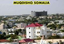 مقديشو تستضيف اليوم مؤتمرا أمنيا بحضور وزراء الدفاع للدول المجاورة مقديشو تستضيف اليوم مؤتمرا أمنيا بحضور وزراء الدفاع للدول المجاورة