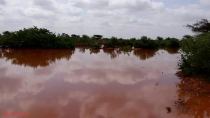 مصرع 9 أشخاص وإصابة آخرين نتيجة فيضانات في مدينة بارطيري الصومالية مصرع 9 أشخاص وإصابة آخرين نتيجة فيضانات في مدينة بارطيري الصومالية