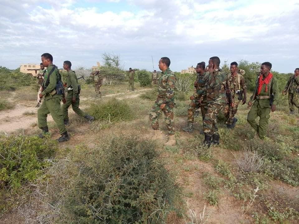 الحرب على “الشباب” .. استعدادات للمرحلة الثانية من العمليات العسكرية في “هيرشبيلي” الحرب على “الشباب” .. استعدادات للمرحلة الثانية من العمليات العسكرية في “هيرشبيلي”