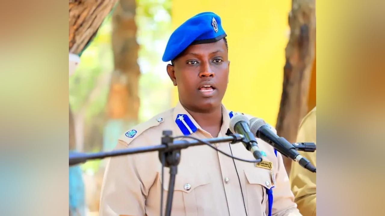 القوات الأمنية الوطنية تستولي على منزل تم إلقاء مدافع الهاون منه في ضاحية مقديشو القوات الأمنية الوطنية تستولي على منزل تم إلقاء مدافع الهاون منه في ضاحية مقديشو