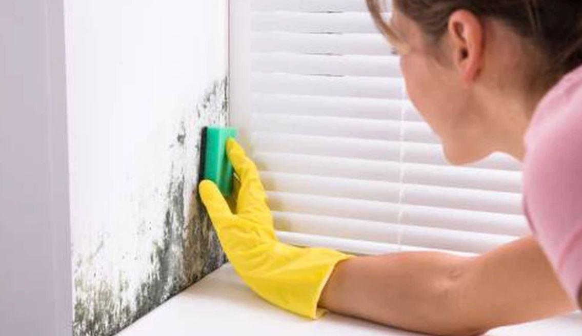 طرق إزالة العفن من الجدران طرق إزالة العفن من الجدران
