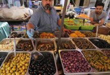 أولويات الأمن الغذائي العربي لم تعد ترفاًَ أولويات الأمن الغذائي العربي لم تعد ترفاًَ