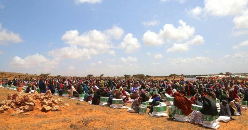 الحكومة تسعى إلى إيصال الخدمات الأساسية للمناطق المحررة من الإرهاب الحكومة تسعى إلى إيصال الخدمات الأساسية للمناطق المحررة من الإرهاب