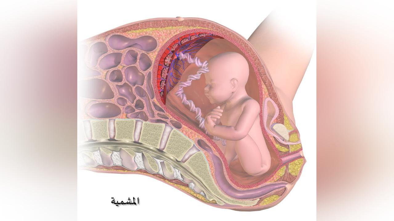 علماء يكتشفون سر علماء يكتشفون سر