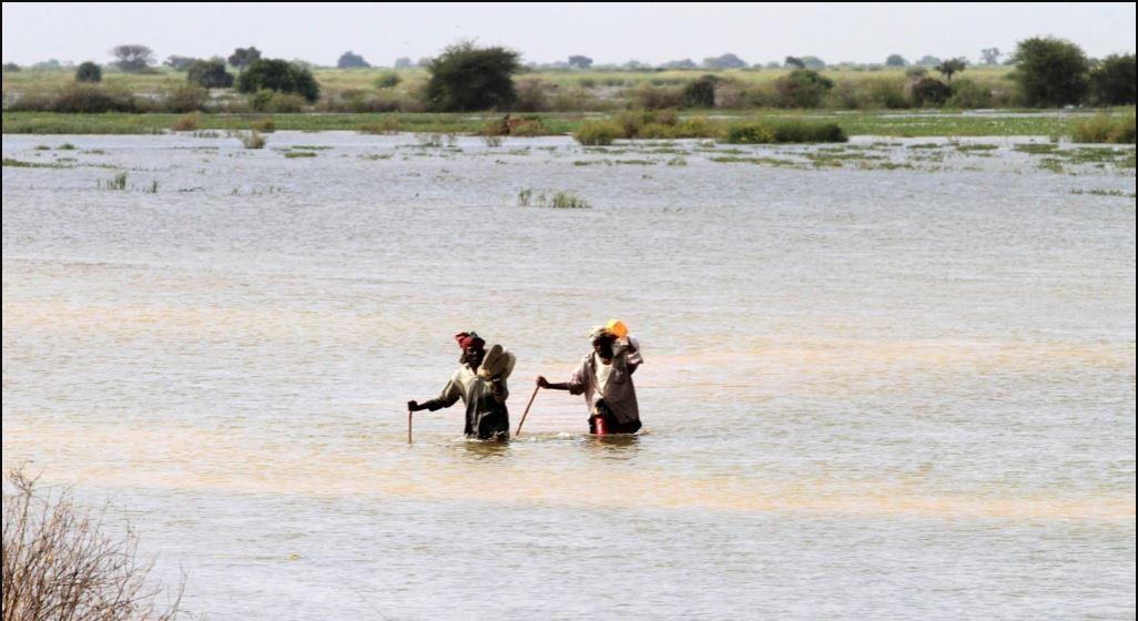 مصرع 8 أشخاص جراء الفيضانات في بلدوين مصرع 8 أشخاص جراء الفيضانات في بلدوين