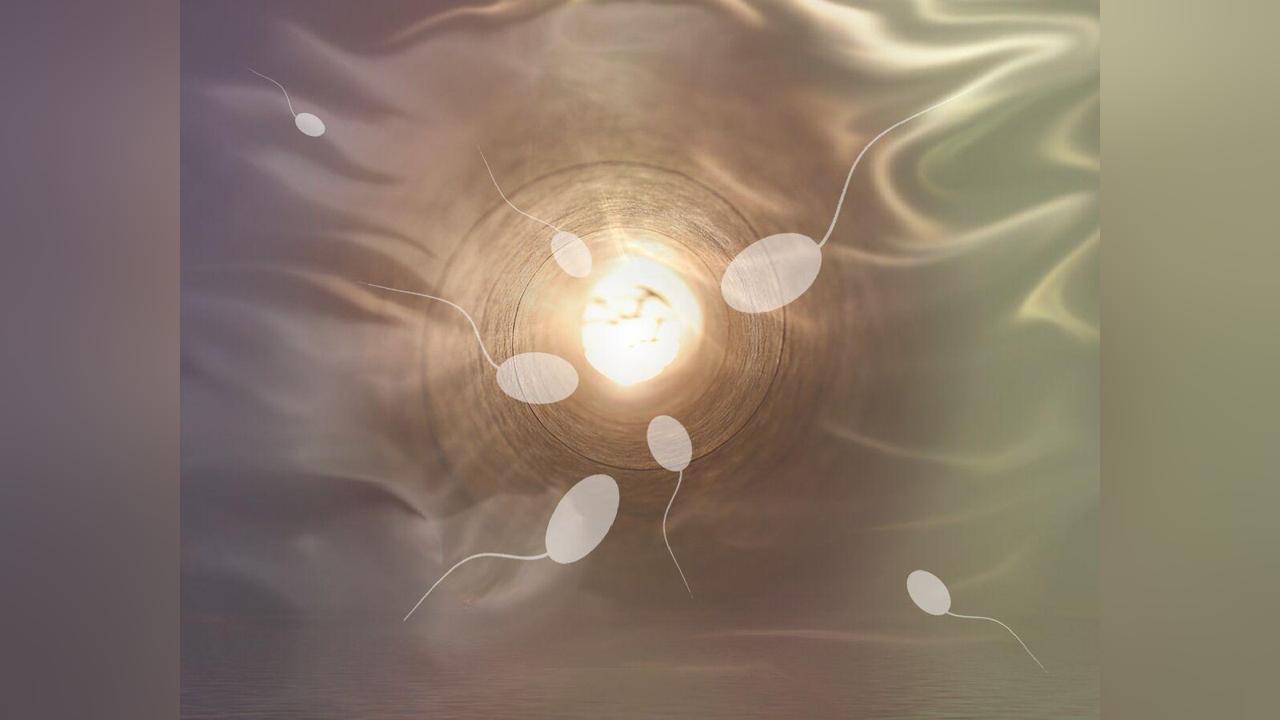 دراسة علمية تكشف عن سبب انخفاض خصوبة الرجال إلى النصف آخر 5 عقود دراسة علمية تكشف عن سبب انخفاض خصوبة الرجال إلى النصف آخر 5 عقود