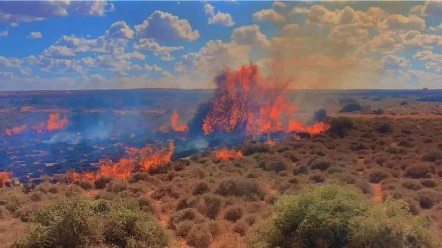 بسبب تبعات التغير المناخي.. حريق مهول يندلع في حقل “دلسن” بمحافظة نوغال