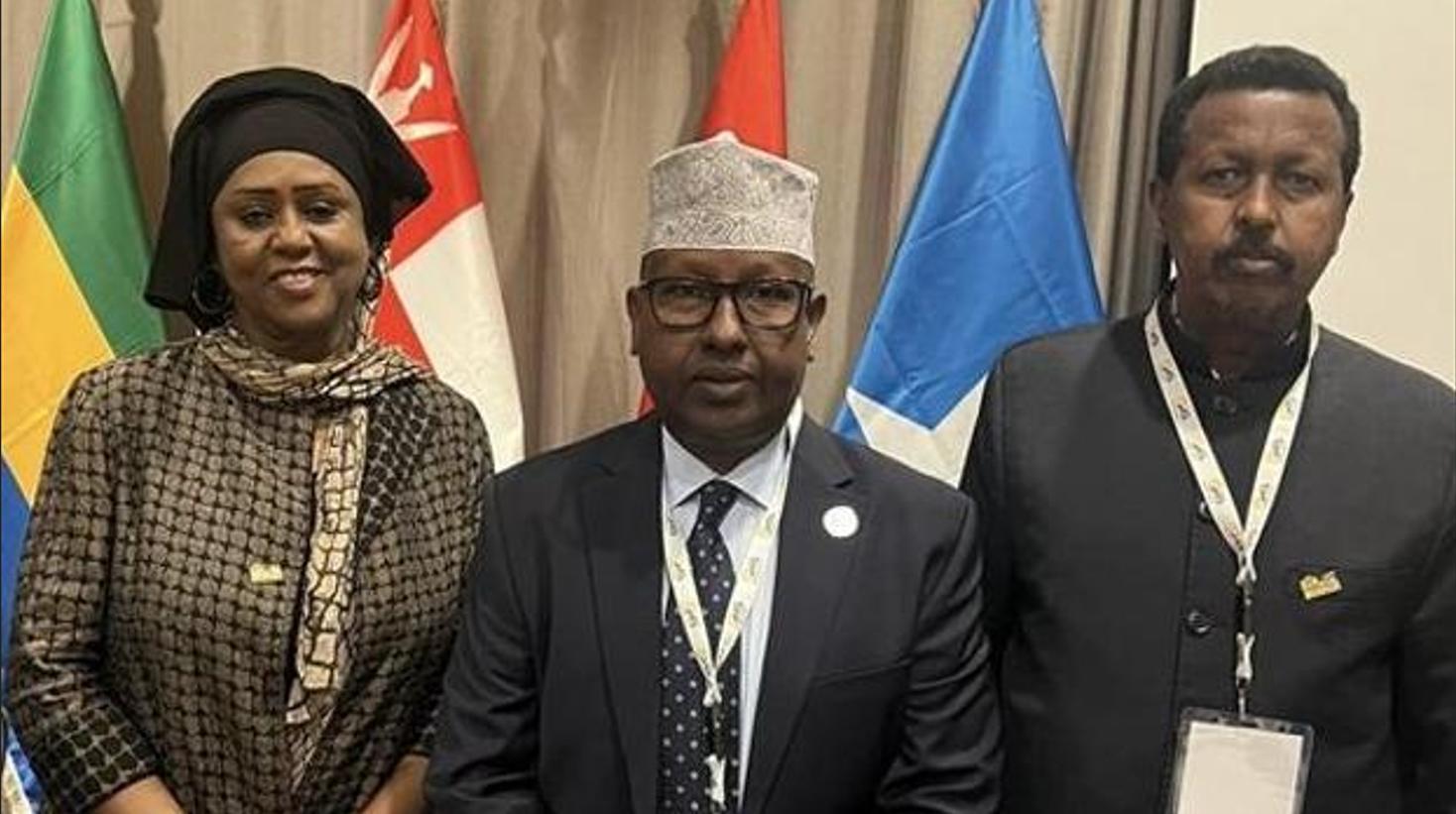 ثلاثون دولة إفريقية تدعم مرشح الصومال لرئاسة الاتحاد الأفريقي
