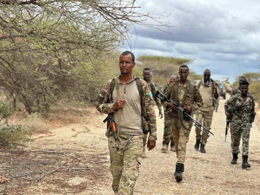 الجيش الوطني يصفي عناصر من مليشيات الخوارج بمحافظة هيران الجيش الوطني يصفي عناصر من مليشيات الخوارج بمحافظة هيران