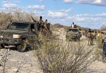 مقتل 59 عنصرا من حركة “الشباب” في عمليتين للجيش