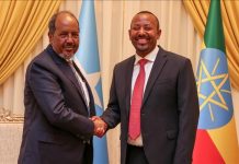 شيخ محمود وآبي أحمد يبحثان التعاون بين الصومال وإثيوبيا شيخ محمود وآبي أحمد يبحثان التعاون بين الصومال وإثيوبيا