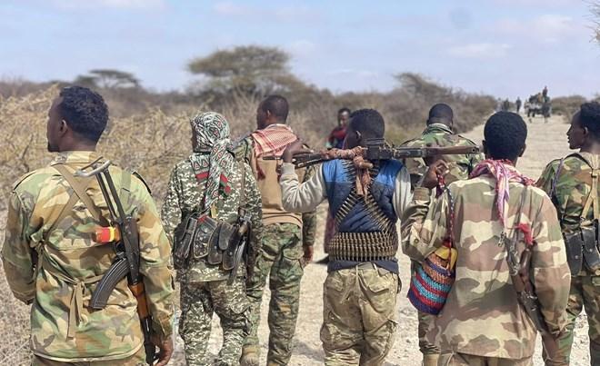 مقتل 40 من عناصر حركة الشباب في عمليات للجيش الصومالي مقتل 40 من عناصر حركة الشباب في عمليات للجيش الصومالي