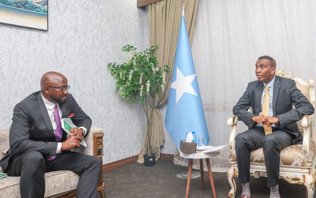 sm_1747179431.980438