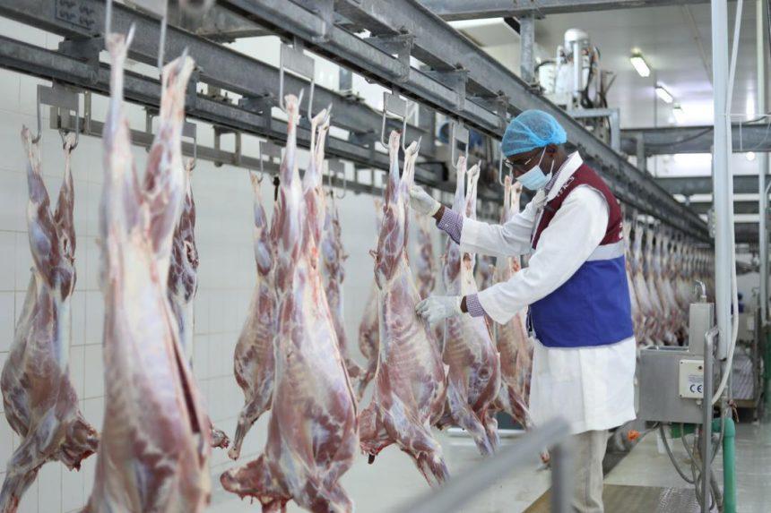 قطر الخيرية توزّع لحوم الأضاحي على آلاف الأسر في مقديشو