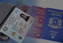 الحكومة تطبق نظام جوازات السفر المعتمد على الهوية الوطنية الحكومة تطبق نظام جوازات السفر المعتمد على الهوية الوطنية