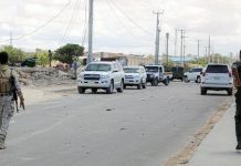 الجيش يعلن مقتل 100 عنصر “إرهابي” جنوب البلاد الجيش يعلن مقتل 100 عنصر "إرهابي" جنوب البلاد