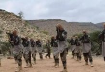 بونتلاند تدعو مسلحي داعش إلى الاستسلام في 72 ساعة بونتلاند تدعو مسلحي داعش إلى الاستسلام في 72 ساعة