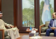 الإمارات تبحث مع الصومال جهود تطوير مسارات التعاون الإمارات تبحث مع الصومال جهود تطوير مسارات التعاون