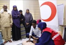 مسؤول صومالي: الهلال الأحمر التركي أول شريك لنا بمشاريع التدريب مسؤول صومالي: الهلال الأحمر التركي أول شريك لنا بمشاريع التدريب