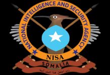 مقتل 12 من الشباب في عملية دقيقة نفذها جهاز الاستخبارات مقتل 12 من الشباب في عملية دقيقة نفذها جهاز الاستخبارات