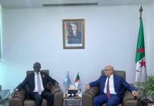 الجزائر والصومال تؤكدان على أهمية فتح آفاق جديدة للتعاون الجزائر والصومال تؤكدان على أهمية فتح آفاق جديدة للتعاون