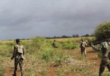 الجيش يقتل سبعة إرهابيين في عملية عسكرية بإقليم شبيلي السفلى الجيش يقتل سبعة إرهابيين في عملية عسكرية بإقليم شبيلي السفلى