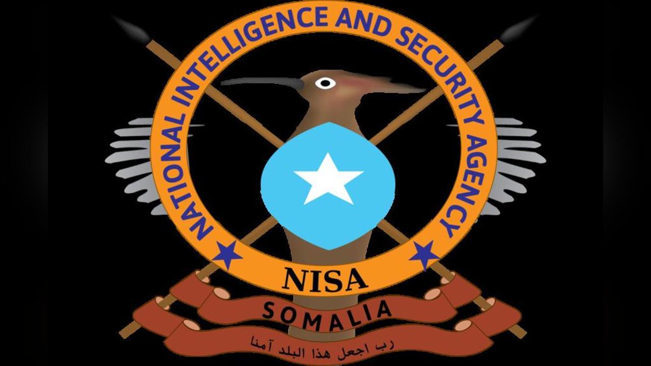 تصفية ثلاثة إرهابيين على أيدي جهاز المخابرات والأمن الوطني تصفية ثلاثة إرهابيين على أيدي جهاز المخابرات والأمن الوطني