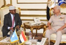 مصر والصومال يبحثان التعاون العسكري ودعم استقرار إفريقيا مصر والصومال يبحثان التعاون العسكري ودعم استقرار إفريقيا