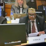 دعم الأوروبي لبعثة AUSSOM استثمار في أمن القرن الإفريقي دعم الأوروبي لبعثة AUSSOM استثمار في أمن القرن الإفريقي