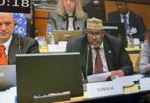 دعم الأوروبي لبعثة AUSSOM استثمار في أمن القرن الإفريقي دعم الأوروبي لبعثة AUSSOM استثمار في أمن القرن الإفريقي