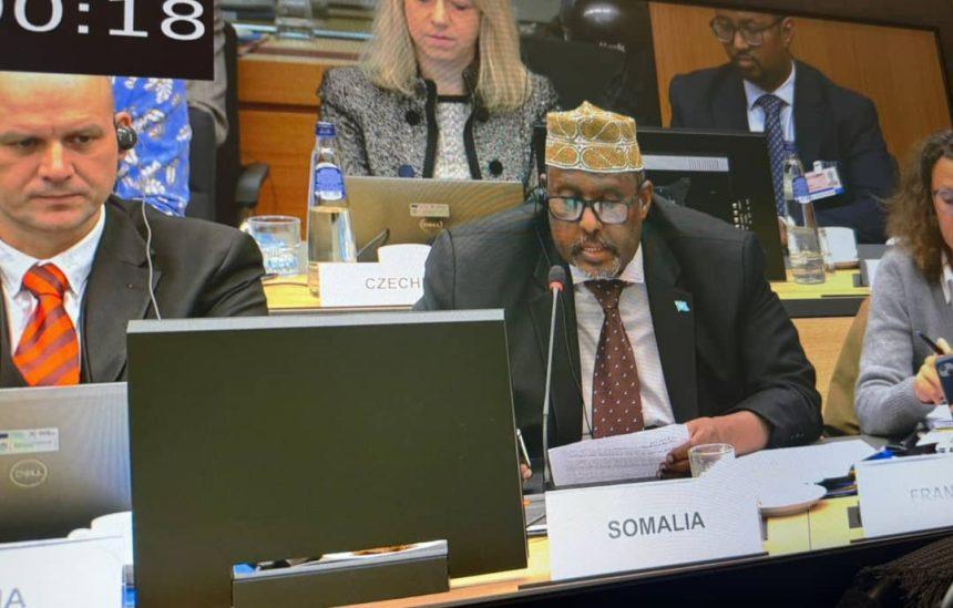 دعم الأوروبي لبعثة AUSSOM استثمار في أمن القرن الإفريقي دعم الأوروبي لبعثة AUSSOM استثمار في أمن القرن الإفريقي