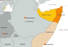 محمد سعد فالي: بونتلاند بوابة التدخل في السودان محمد سعد فالي: بونتلاند بوابة التدخل في السودان