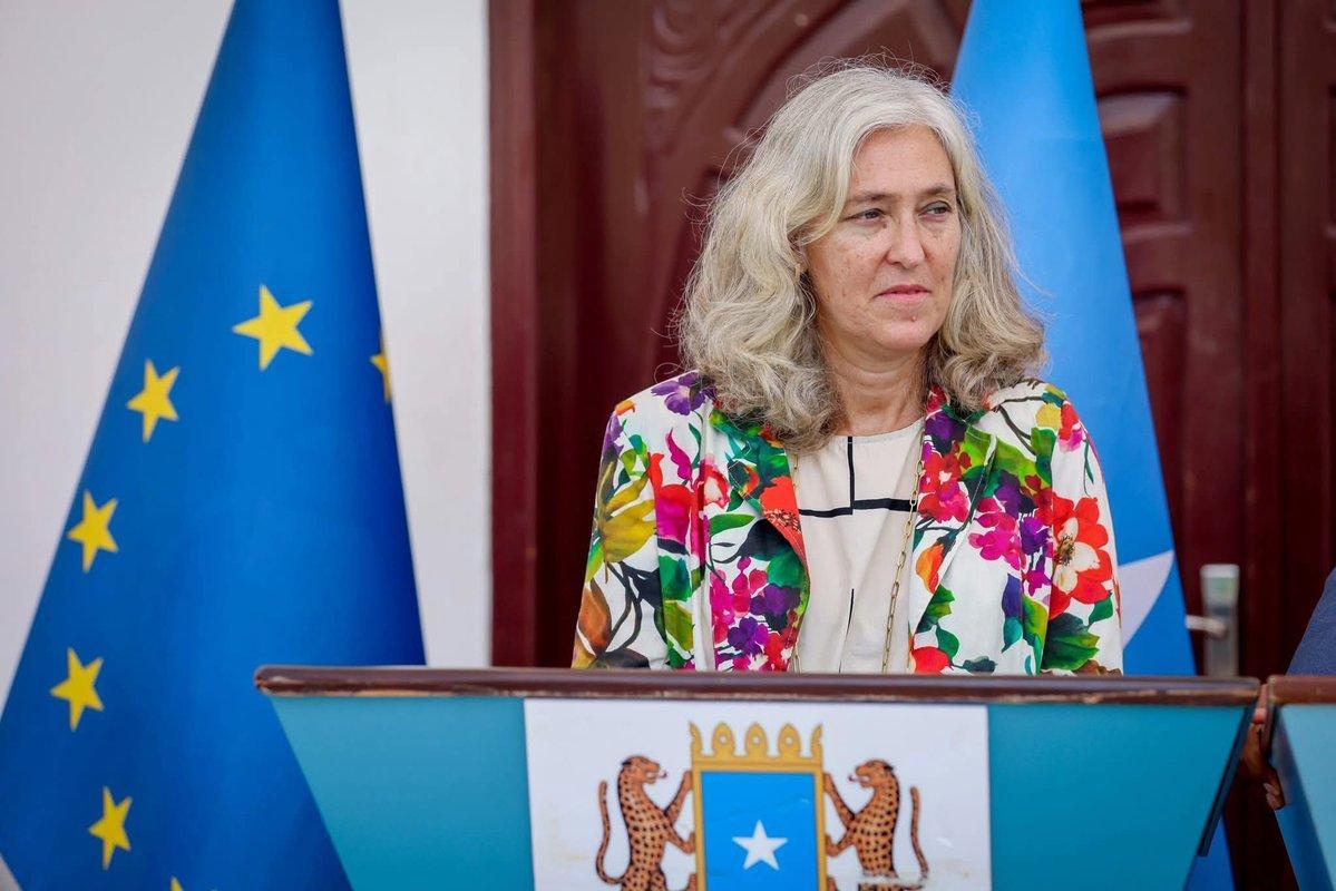 الاتحاد الأوروبي وأفريقيا يتعاونان لتعزيز دعم الأمن الصومالي الاتحاد الأوروبي وأفريقيا يتعاونان لتعزيز دعم الأمن الصومالي