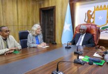 رئيس مجلس الشعب يستقبل سفيرة الاتحاد الأوروبي رئيس مجلس الشعب يستقبل سفيرة الاتحاد الأوروبي