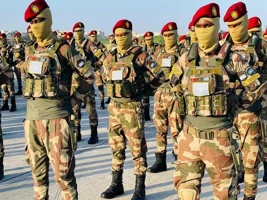 قوات الكوماندوز تنفّذ عملية نوعية ضد الشباب في شبيلي الوسطى قوات الكوماندوز تنفّذ عملية نوعية ضد الشباب في شبيلي الوسطى