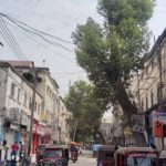 إغلاق سوق حمروين في مقديشو احتجاجا على الأعباء الضريبية إغلاق سوق حمروين في مقديشو احتجاجا على الأعباء الضريبية