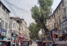 إغلاق سوق حمروين في مقديشو احتجاجا على الأعباء الضريبية إغلاق سوق حمروين في مقديشو احتجاجا على الأعباء الضريبية