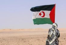 الصومال تكذب ادعاءات الاعتراف بسيادة المغرب على الصحراء الغربية الصومال تكذب ادعاءات الاعتراف بسيادة المغرب على الصحراء الغربية