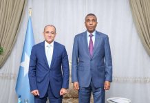 الصومال ومصر تناقشان الأمن والاستثمار الصومال ومصر تناقشان الأمن والاستثمار