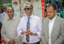 الحكومة تكثف متابعتها الميدانية لعملية توزيع بطاقات التصويت الحكومة تكثف متابعتها الميدانية لعملية توزيع بطاقات التصويت