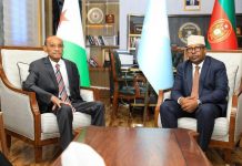 وزير الدفاع يلتقي نظيره الجيبوتي لتعزيز التعاون الأمني والدفاعي وزير الدفاع يلتقي نظيره الجيبوتي لتعزيز التعاون الأمني والدفاعي