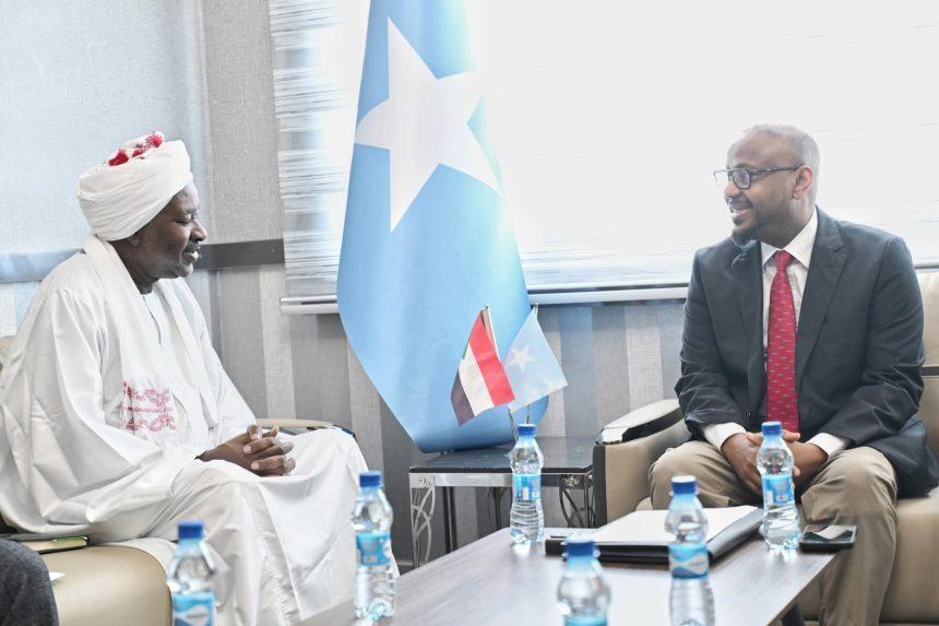 الأمين الدائم لوزارة الخارجية يبحث آفاق التعاون مع السفير السوداني الأمين الدائم لوزارة الخارجية يبحث آفاق التعاون مع السفير السوداني