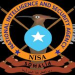 المخابرات الوطنية تصفي 9 إرهابيين في عملية عسكرية المخابرات الوطنية تصفي 9 إرهابيين في عملية عسكرية