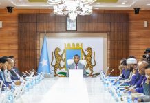 مجلس الوزراء يعتمد قوانين جديدة ويستعد للانتخابات المحلية مجلس الوزراء يعتمد قوانين جديدة ويستعد للانتخابات المحلية